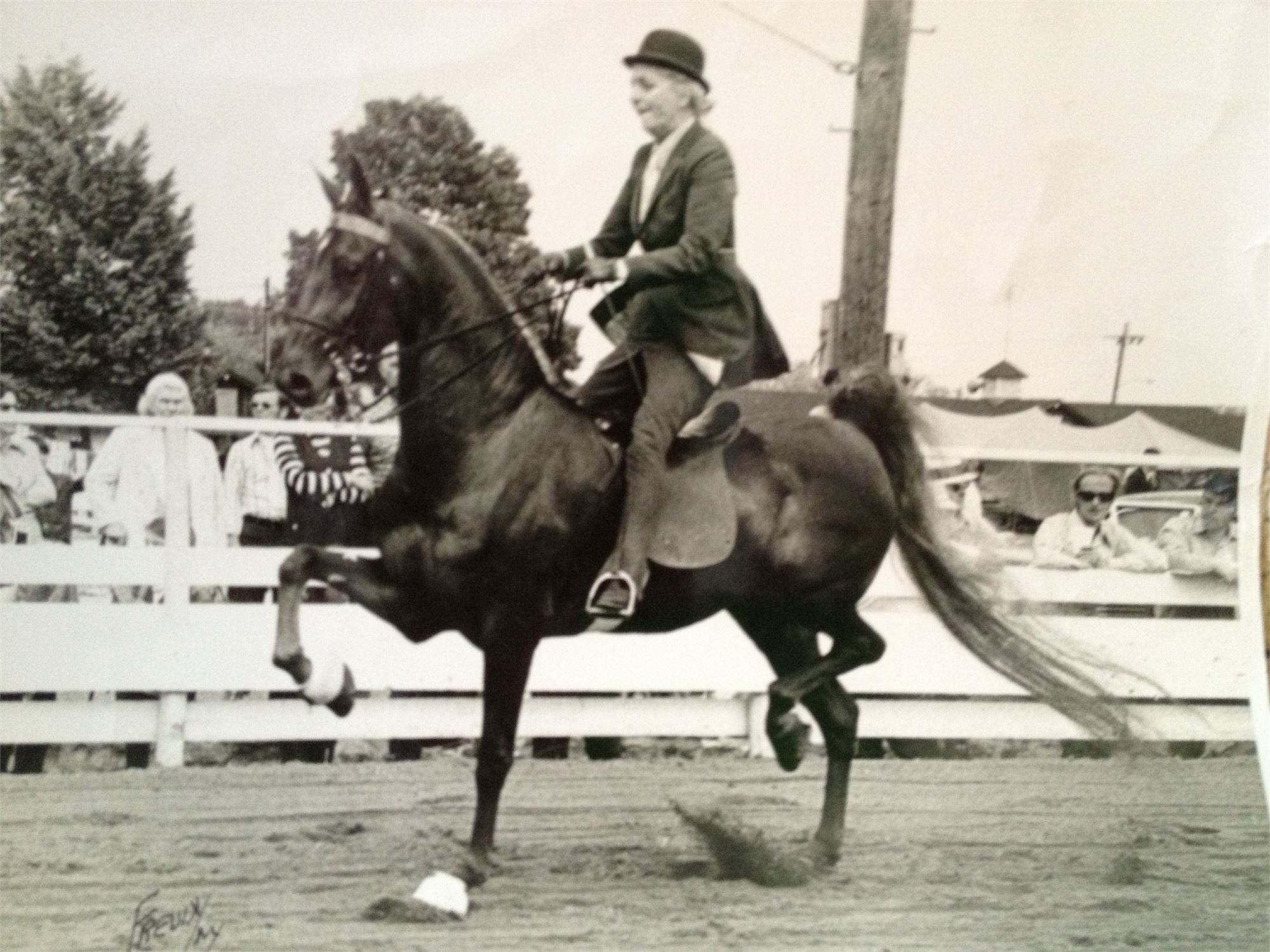Eastern States Exposition Horse Show