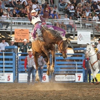 2016 Cody Stampede Rodeo