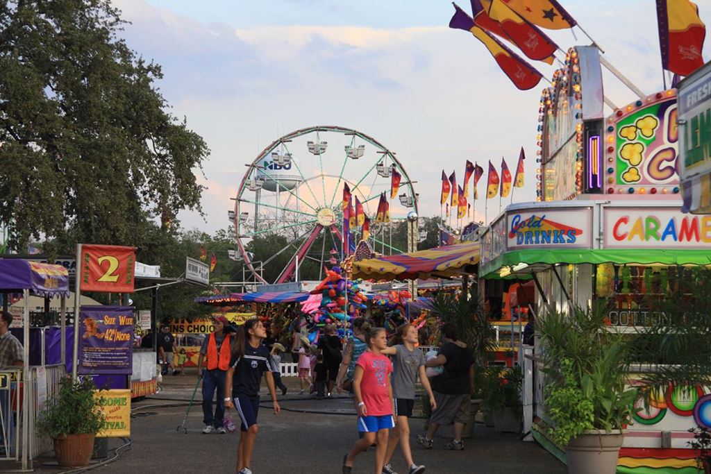 Image result for comal county fair